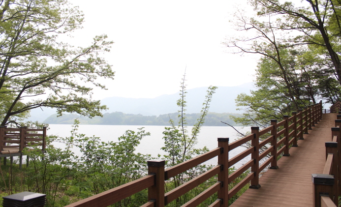 산책로